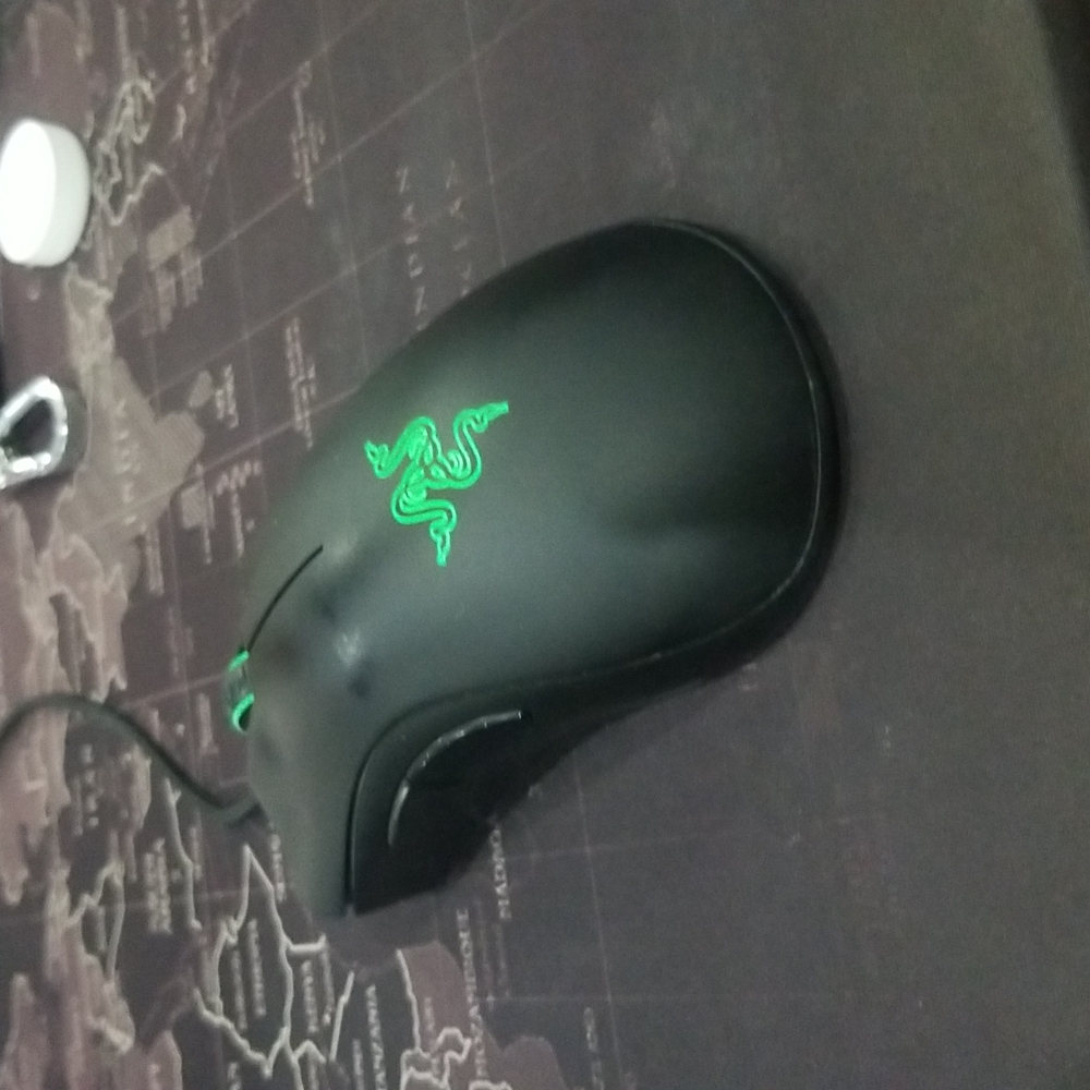 Mouse